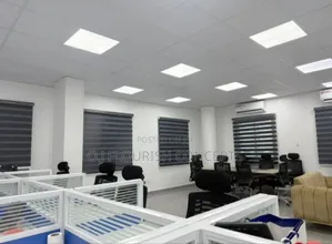 Beautiful Window Blinds