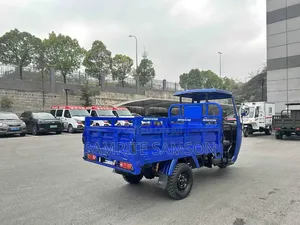 New Tricycle 2026 Blue