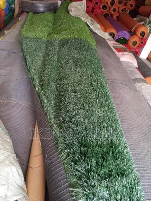 Football Grass