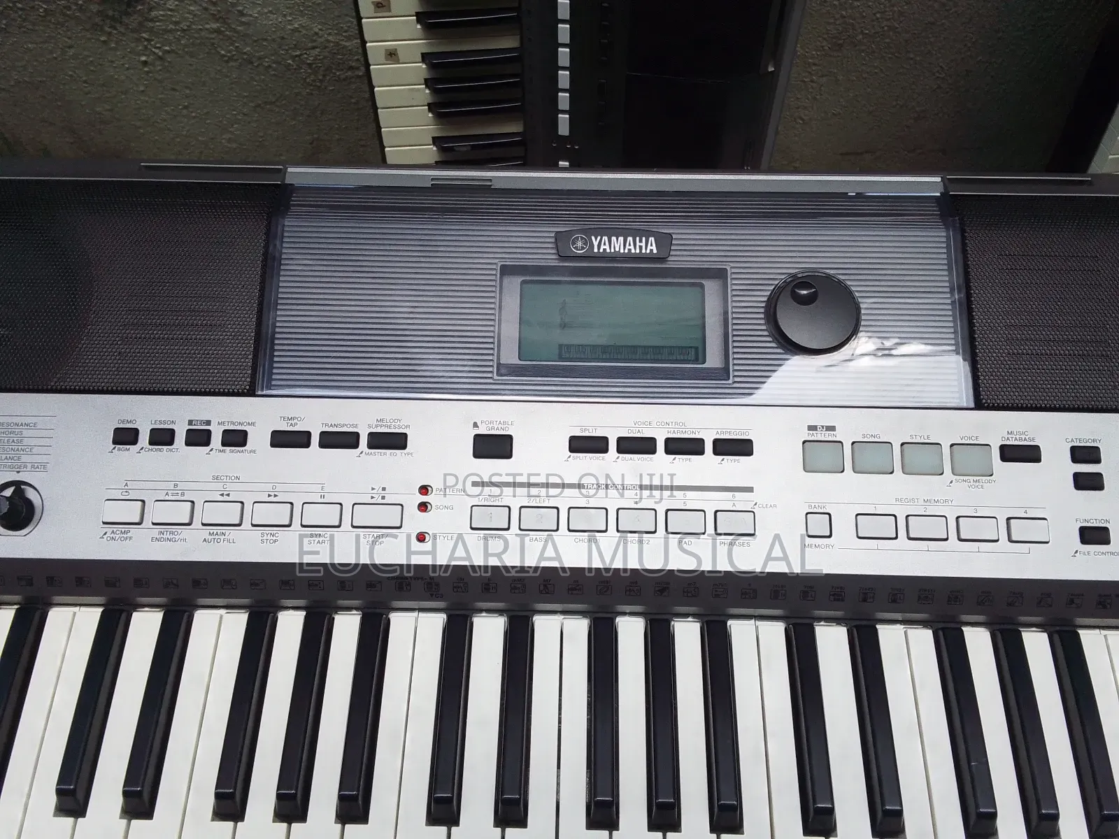 Yamaha PSR-E443 Professional Keyboard – Powerful Sounds Usb Midi 