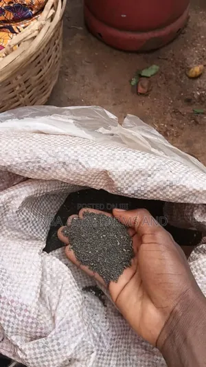 Ewedu Seeds