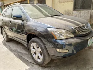 Lexus RX 2005 Gray