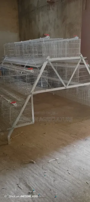Top Quality Imported Battery Cage