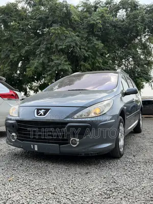 Peugeot 307 SW 2.0 2008 Gray