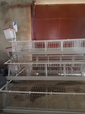Fortable 120bird Capacity Hot Deap Galvanized Battery Cage