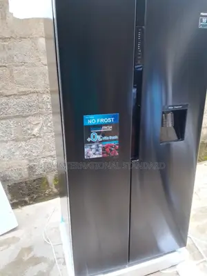 Polystar Home Use Side-by-Side Refrigerator