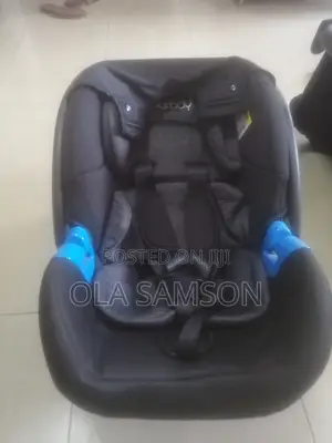 Baby Car Sitters