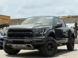 Ford F-150 Raptor 2017 Gray