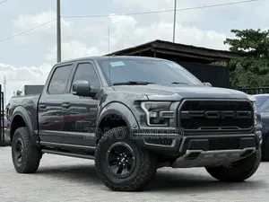 Ford F-150 Raptor 2017 Gray