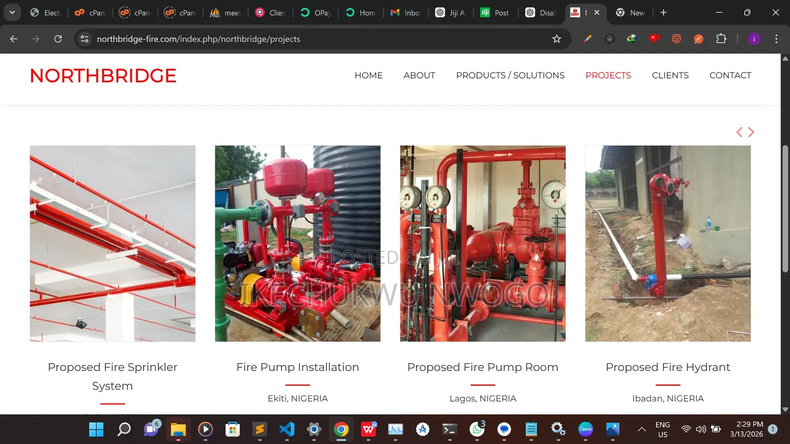 I Build Business Websites, Vtu Platforms Online Stores
