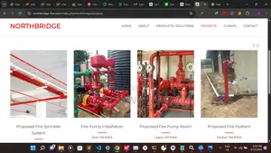 I Build Business Websites, Vtu Platforms Online Stores