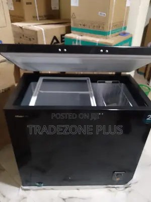 Hisense Fc250sh Commercial Food Freezer
