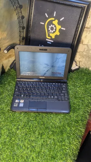 Laptop Toshiba NB200 2GB Intel Atom HDD 250GB