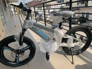 Vlra Kids Bicycle