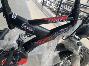 Vlra Kids Bike