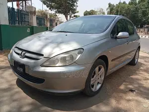 Peugeot 307 2008 Silver