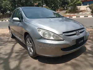 Peugeot 307 2008 Silver