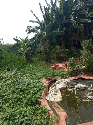 2 Plots of Land for Sale in Ipaja Lagos