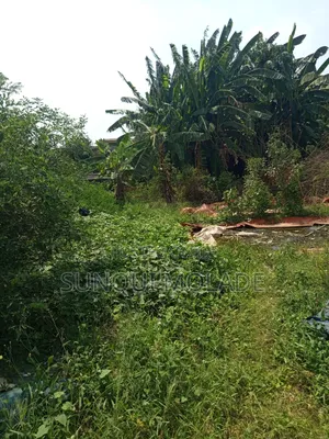 2 Plots of Land for Sale in Ipaja Lagos