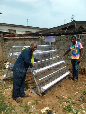 A and H Type Battery Cages