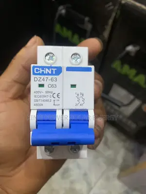 63 Amps Chint Ac Circuit Breaker