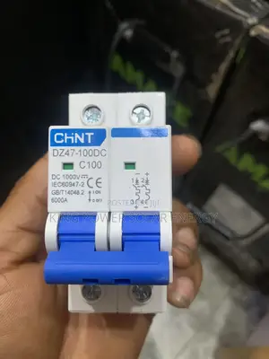 100 Amps Chint Dc Circuit Breaker