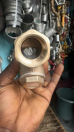 Germany Brass Y- Strainer Screen