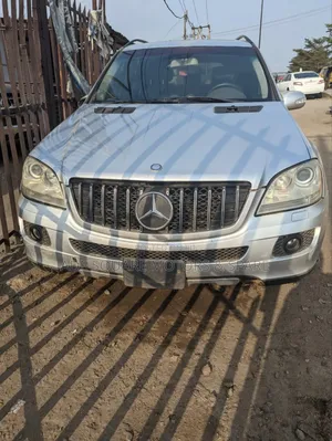 Mercedes-Benz M Class 2009 Silver