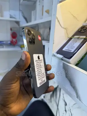Apple iPhone 12 Pro Max 128 GB Gray