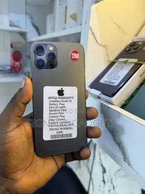 Apple iPhone 12 Pro Max 128 GB Gray