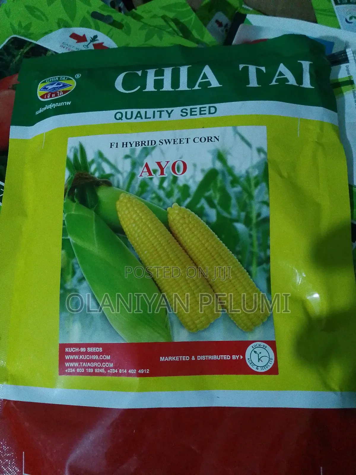 F1 Hybrid Sweet Corn