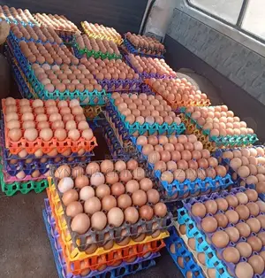 Fresh Eggs From Farm