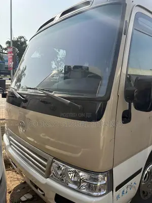 Toyota Coaster 2017 Brown