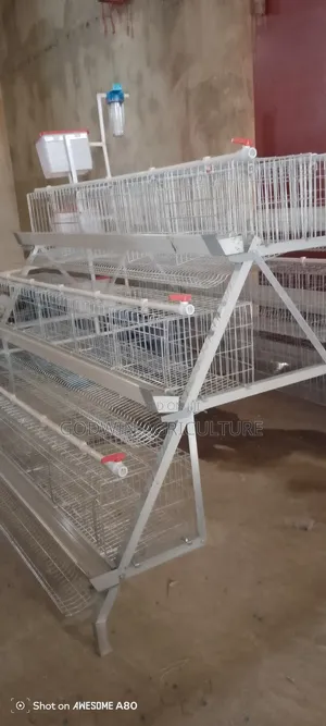 Layers Cage (Hot Deaply Galvanized)