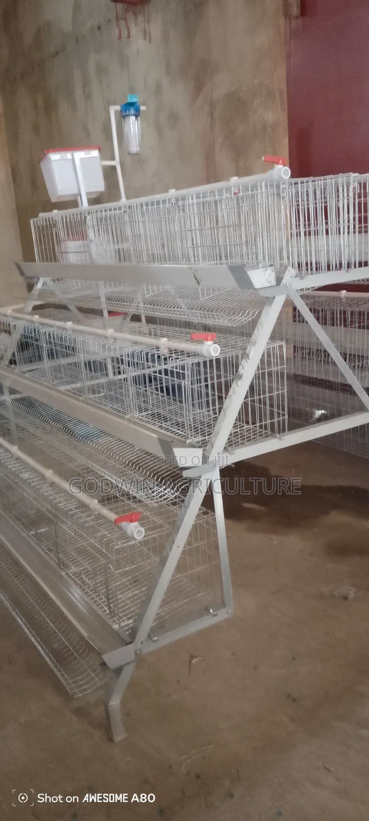 Layers Cage (Hot Deaply Galvanized)