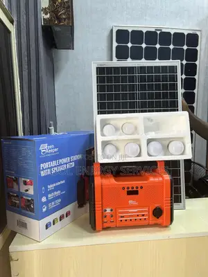 300w Dc Solar Generator With Bluetooth Speaker , Bulbs And Panels