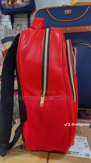 Fendi Backbag
