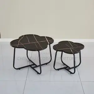 Your Imported 2in1 Center Table