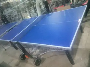 Outdoor Siftmat 250S Crossover Cornilleau Table Tennis Board
