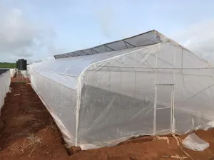 Greenhouse Installation and Management – Professional Service