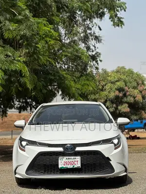 Toyota Corolla LE 2020 Gray