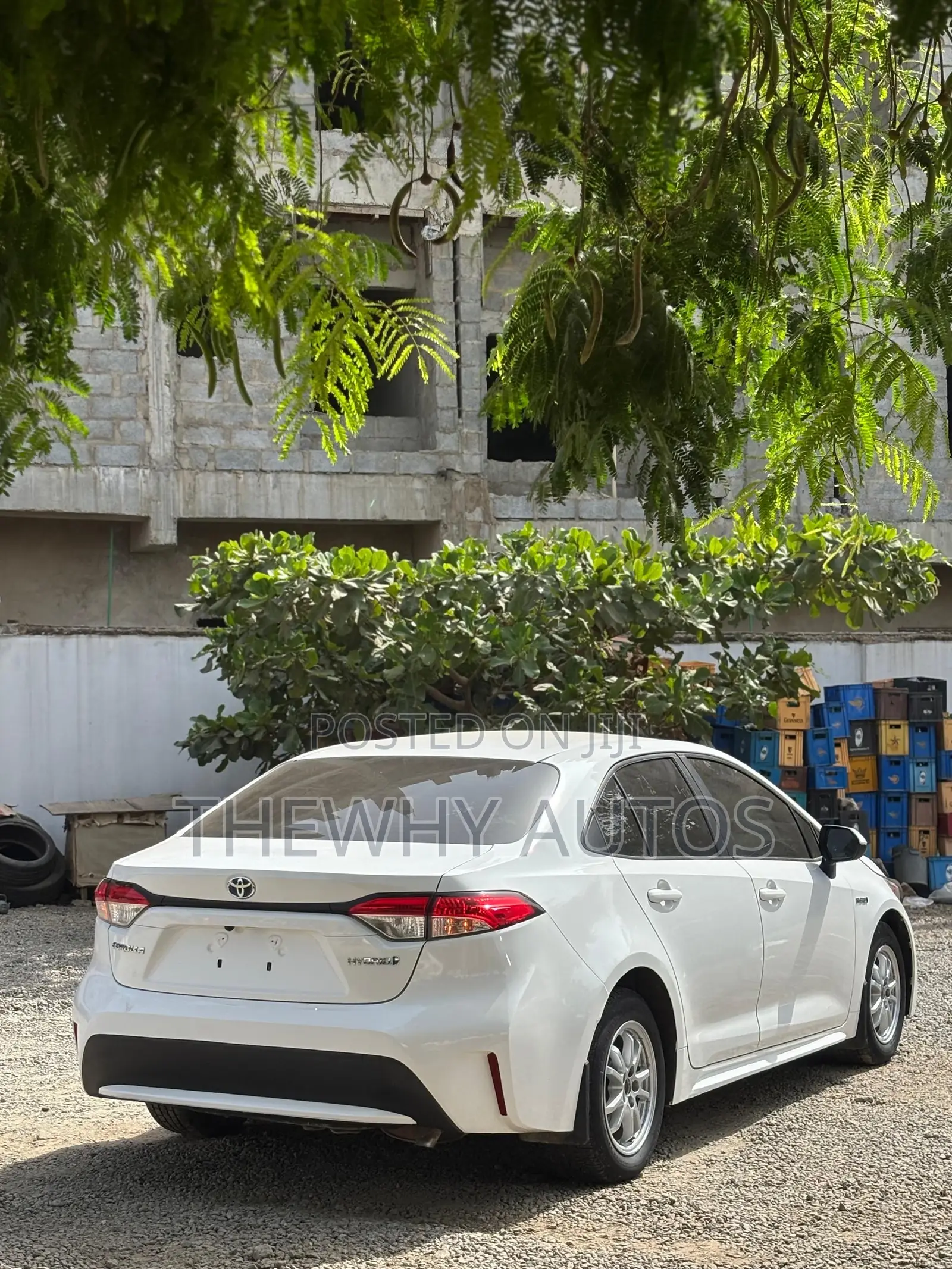 Toyota Corolla LE 2020 Gray