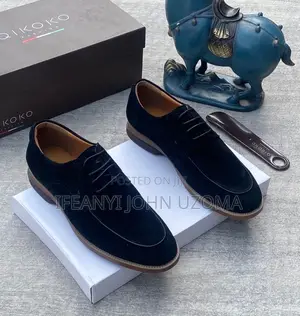 Suede Lace Classic Shoe