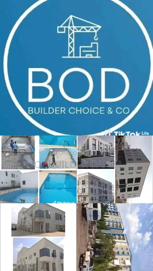 Professional Building Contractor