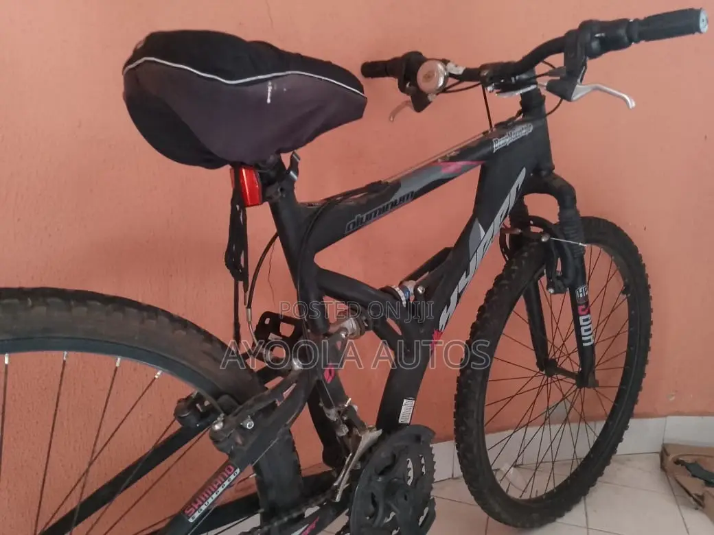 Bear Mountain Mountain Bike – Great Condition