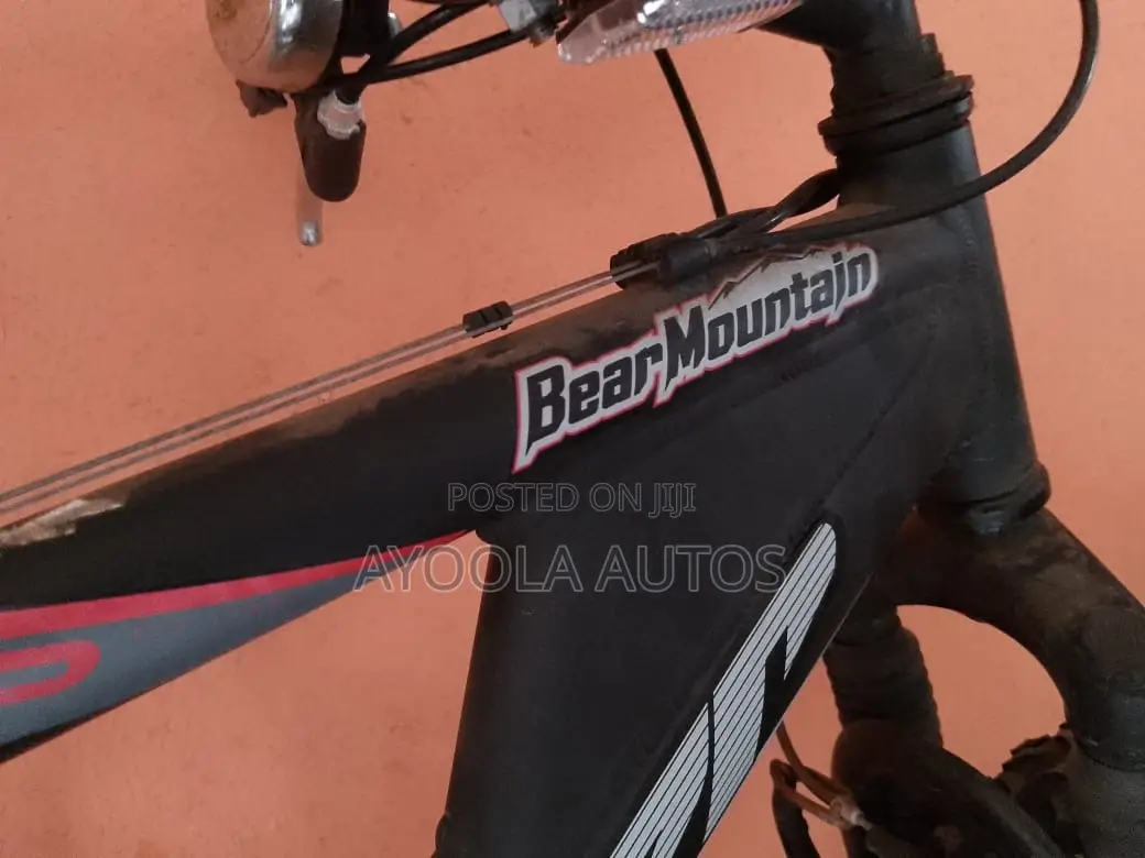 Bear Mountain Mountain Bike – Great Condition