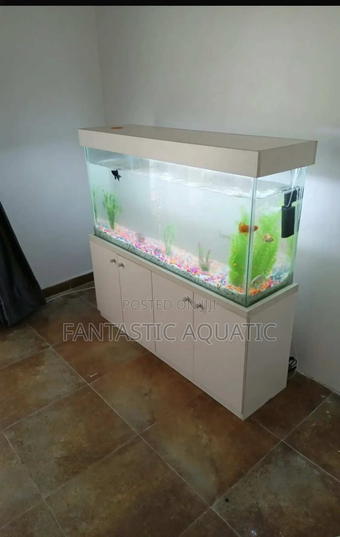 Complete Aquarium