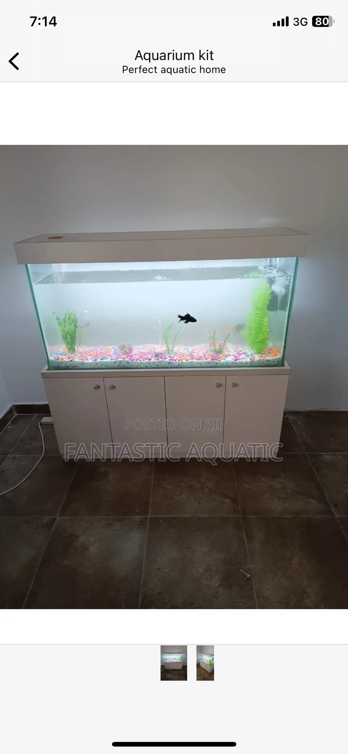 Complete Aquarium