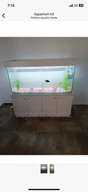 Complete Aquarium