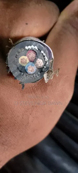 6mm Armoured Cable